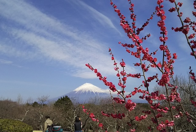 岩本（富士市）からの富士山